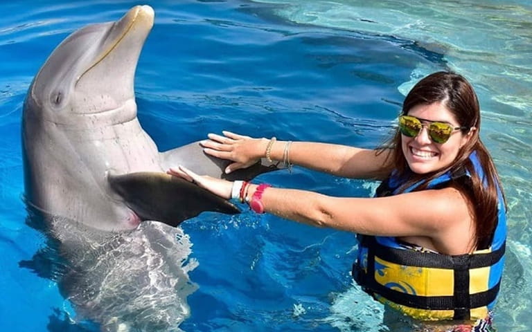 Nado con delfines en Florianópolis