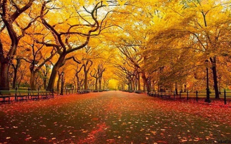 Viaje en otoño a Buenos Aires