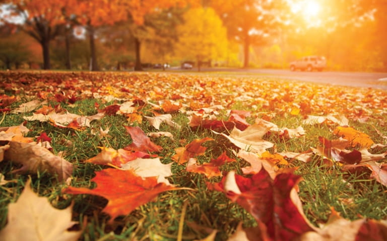 Viaje en otoño a Tandil