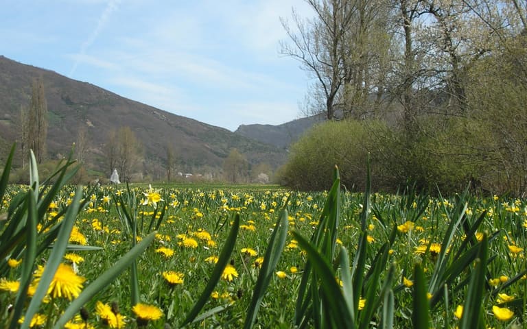 Viaje en primavera a Tandil