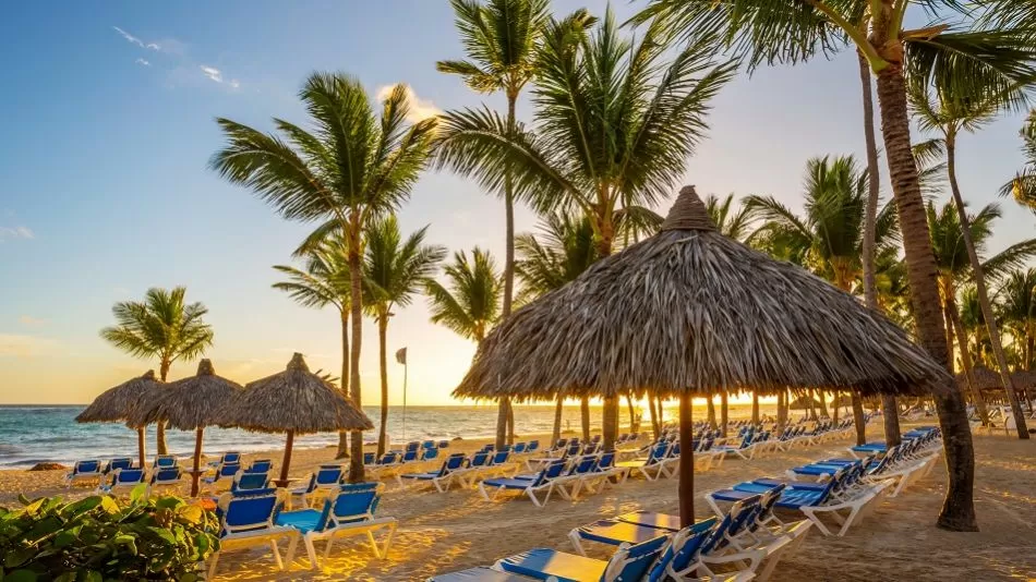 Vista panorámica de una playa de República Dominicana con sombrillas de palma y reposeras típicas del Caribe sobre arena blanca